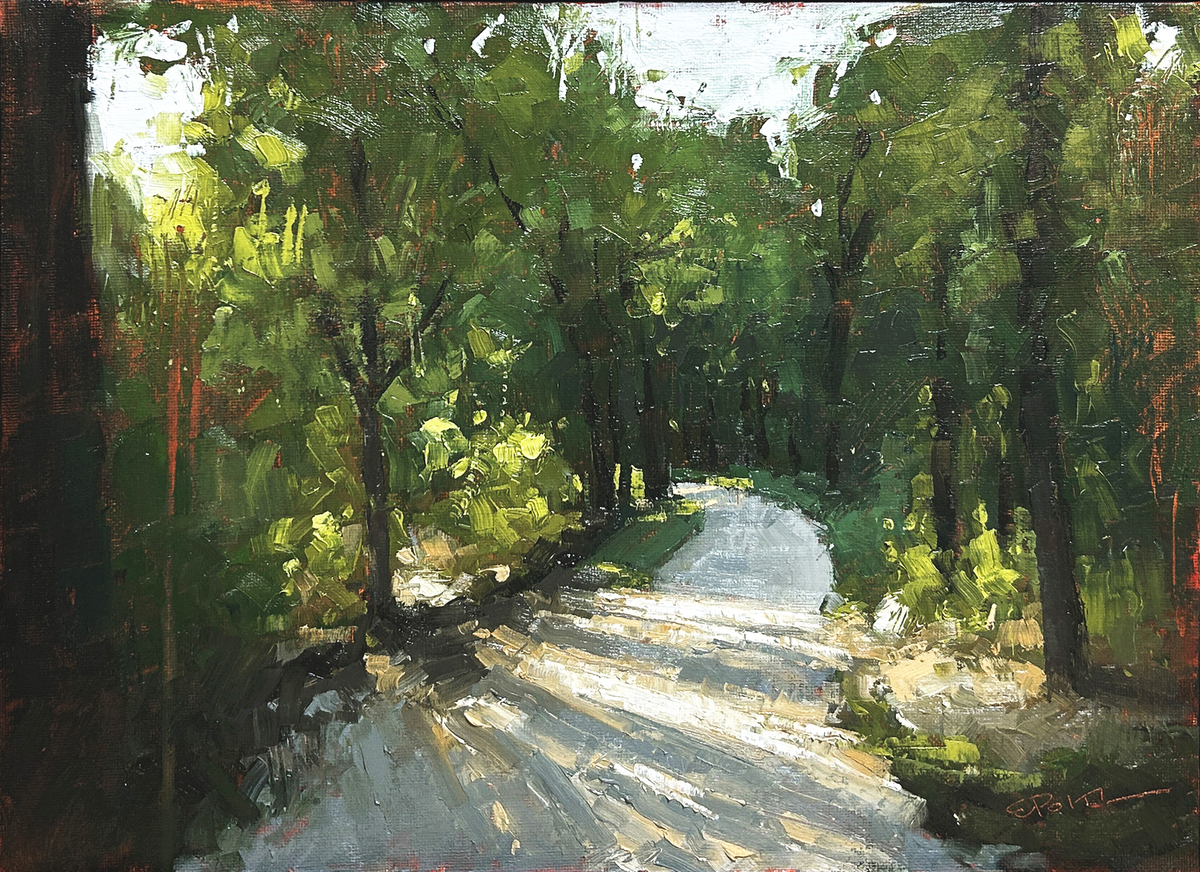 Lighting the Way  IMG_5856